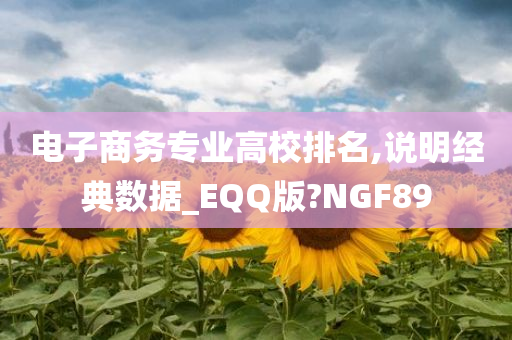 电子商务专业高校排名,说明经典数据_EQQ版?NGF89