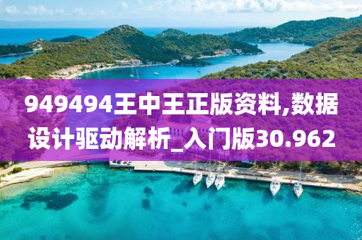 949494王中王正版资料,数据设计驱动解析_入门版30.962