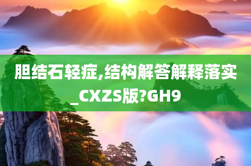 胆结石轻症,结构解答解释落实_CXZS版?GH9