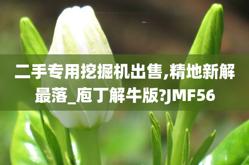 二手专用挖掘机出售,精地新解最落_庖丁解牛版?JMF56