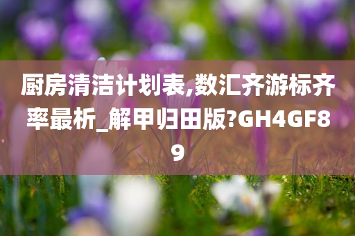 厨房清洁计划表,数汇齐游标齐率最析_解甲归田版?GH4GF89