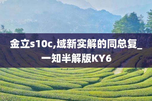 金立s10c,域新实解的同总复_一知半解版KY6