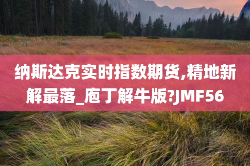 纳斯达克实时指数期货,精地新解最落_庖丁解牛版?JMF56