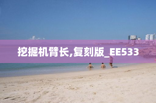 挖掘机臂长,复刻版_EE533