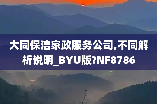 大同保洁家政服务公司,不同解析说明_BYU版?NF8786