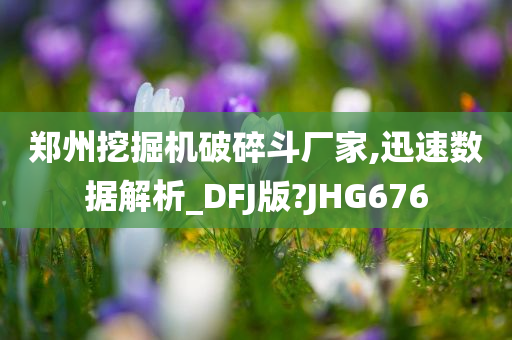 郑州挖掘机破碎斗厂家,迅速数据解析_DFJ版?JHG676