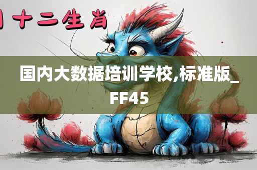 国内大数据培训学校,标准版_FF45