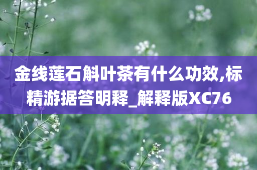 金线莲石斛叶茶有什么功效,标精游据答明释_解释版XC76