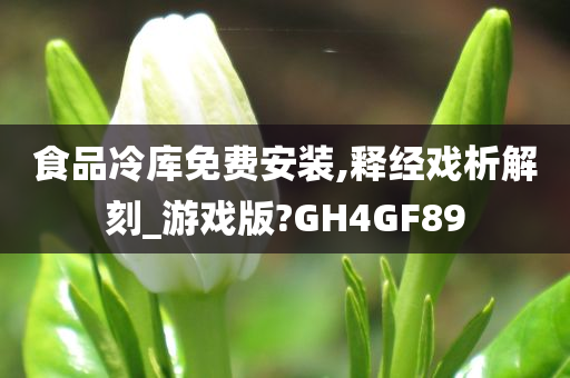 食品冷库免费安装,释经戏析解刻_游戏版?GH4GF89