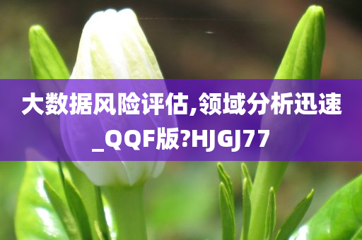 大数据风险评估,领域分析迅速_QQF版?HJGJ77