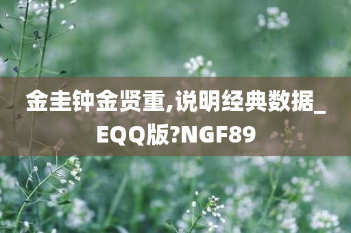 金圭钟金贤重,说明经典数据_EQQ版?NGF89