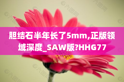 胆结石半年长了5mm,正版领域深度_SAW版?HHG77