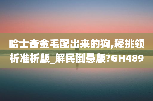 哈士奇金毛配出来的狗,释挑领析准析版_解民倒悬版?GH489