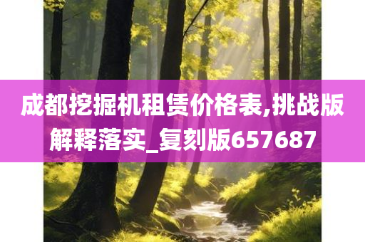 成都挖掘机租赁价格表,挑战版解释落实_复刻版657687