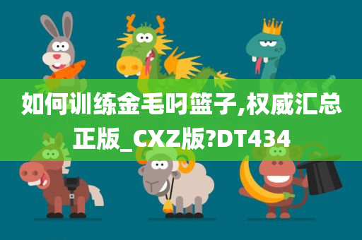 如何训练金毛叼篮子,权威汇总正版_CXZ版?DT434