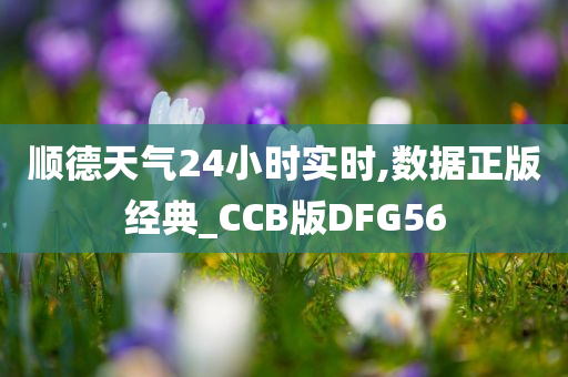 顺德天气24小时实时,数据正版经典_CCB版DFG56