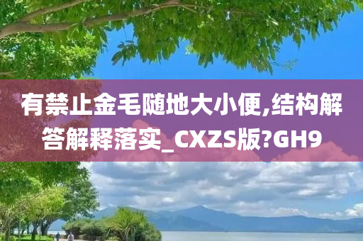 有禁止金毛随地大小便,结构解答解释落实_CXZS版?GH9