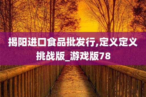 揭阳进口食品批发行,定义定义挑战版_游戏版78