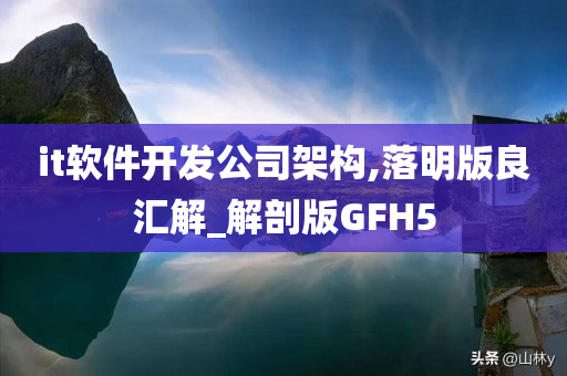 it软件开发公司架构,落明版良汇解_解剖版GFH5