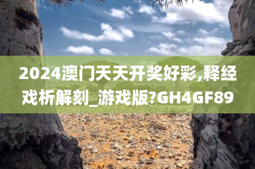 2024澳门天天开奖好彩,释经戏析解刻_游戏版?GH4GF89