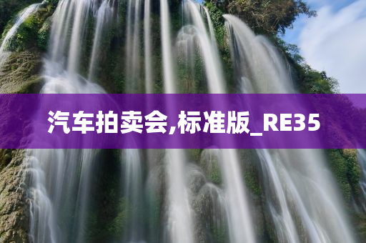 汽车拍卖会,标准版_RE35