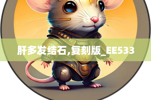 肝多发结石,复刻版_EE533