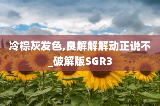 冷棕灰发色,良解解解动正说不_破解版SGR3