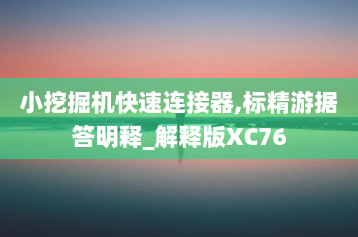 小挖掘机快速连接器,标精游据答明释_解释版XC76