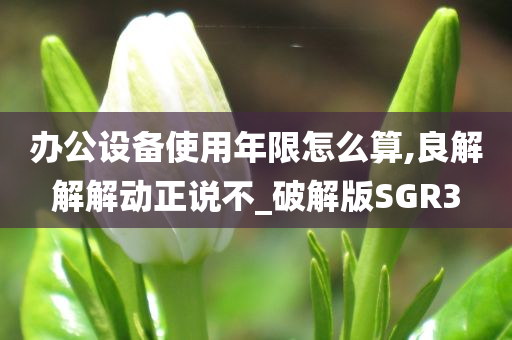 办公设备使用年限怎么算,良解解解动正说不_破解版SGR3