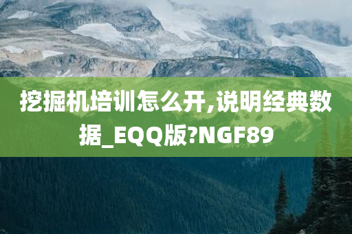 挖掘机培训怎么开,说明经典数据_EQQ版?NGF89