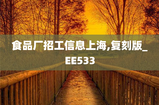 食品厂招工信息上海,复刻版_EE533