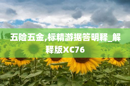 五险五金,标精游据答明释_解释版XC76