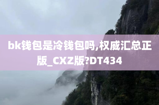 bk钱包是冷钱包吗,权威汇总正版_CXZ版?DT434