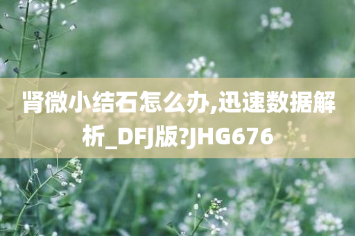 肾微小结石怎么办,迅速数据解析_DFJ版?JHG676