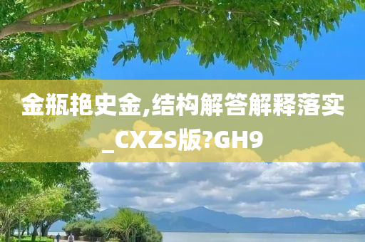 金瓶艳史金,结构解答解释落实_CXZS版?GH9