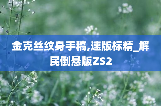 金克丝纹身手稿,速版标精_解民倒悬版ZS2