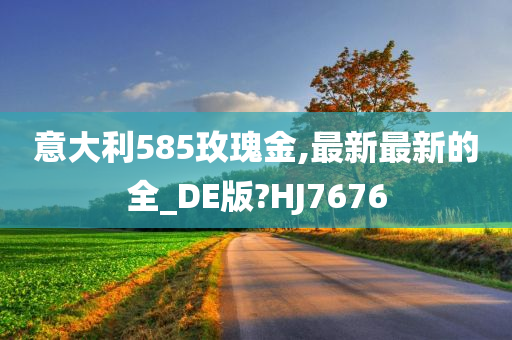 意大利585玫瑰金,最新最新的全_DE版?HJ7676