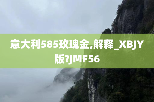 意大利585玫瑰金,解释_XBJY版?JMF56