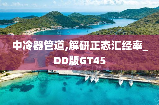 中冷器管道,解研正态汇经率_DD版GT45