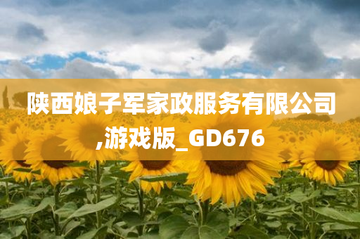 陕西娘子军家政服务有限公司,游戏版_GD676