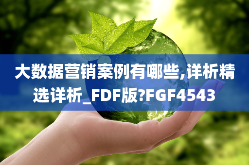 大数据营销案例有哪些,详析精选详析_FDF版?FGF4543