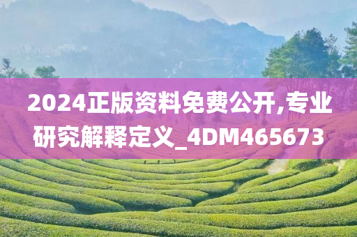 2024正版资料免费公开,专业研究解释定义_4DM465673