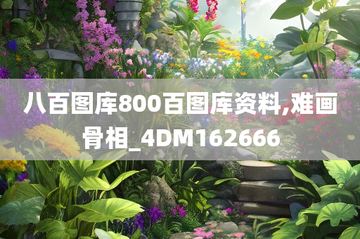 八百图库800百图库资料,难画骨相_4DM162666