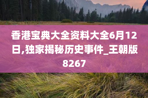 香港宝典大全资料大全6月12日,独家揭秘历史事件_王朝版8267