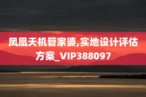 凤凰天机管家婆,实地设计评估方案_VIP388097