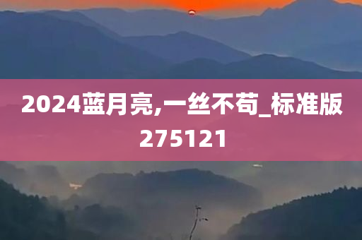 2024蓝月亮,一丝不苟_标准版275121