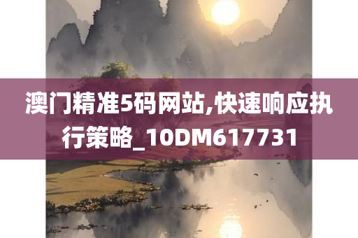 澳门精准5码网站,快速响应执行策略_10DM617731