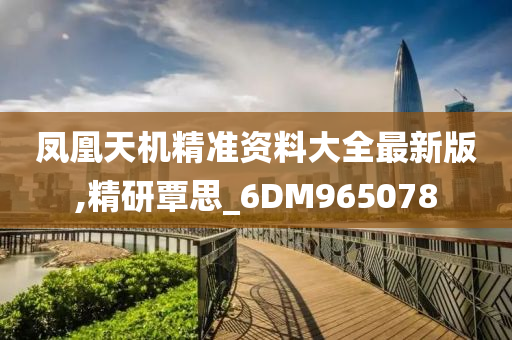 凤凰天机精准资料大全最新版,精研覃思_6DM965078