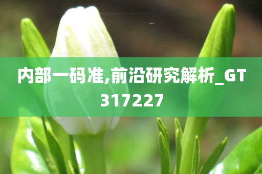 内部一码准,前沿研究解析_GT317227