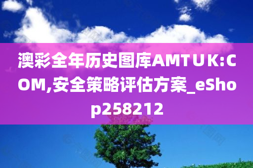 澳彩全年历史图库AMT∪K:COM,安全策略评估方案_eShop258212